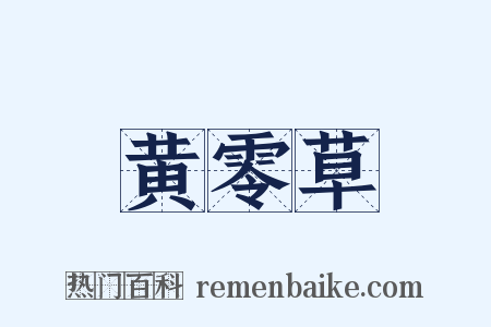 黄零草是什么意思的图片